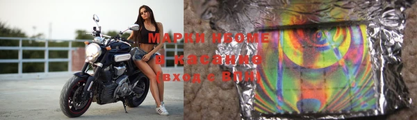 ГАЛЛЮЦИНОГЕННЫЕ ГРИБЫ Михайлов