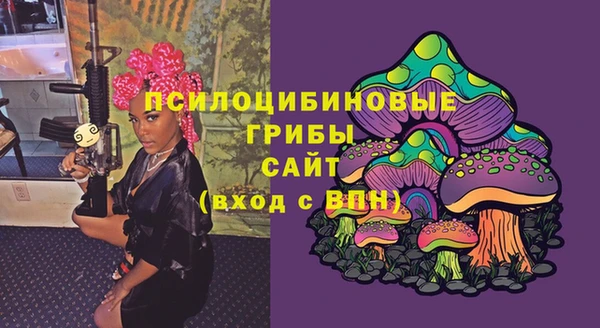 ГАЛЛЮЦИНОГЕННЫЕ ГРИБЫ Михайлов