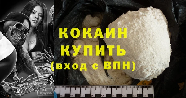 ГАЛЛЮЦИНОГЕННЫЕ ГРИБЫ Михайлов