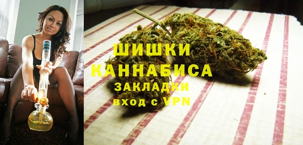крисы Мегион