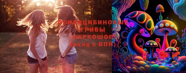 ГАЛЛЮЦИНОГЕННЫЕ ГРИБЫ Михайлов
