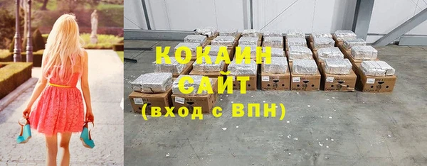 ГАЛЛЮЦИНОГЕННЫЕ ГРИБЫ Михайлов