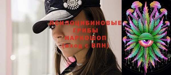 ПСИЛОЦИБИНОВЫЕ ГРИБЫ Михайловск