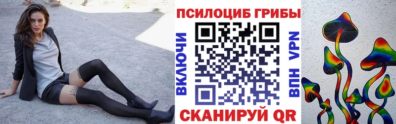 как найти закладки  Балабаново  mega как зайти  Галлюциногенные грибы MAGIC MUSHROOMS 